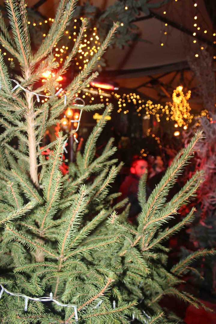 Natale
