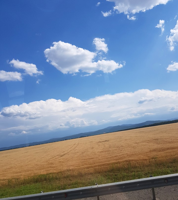 field