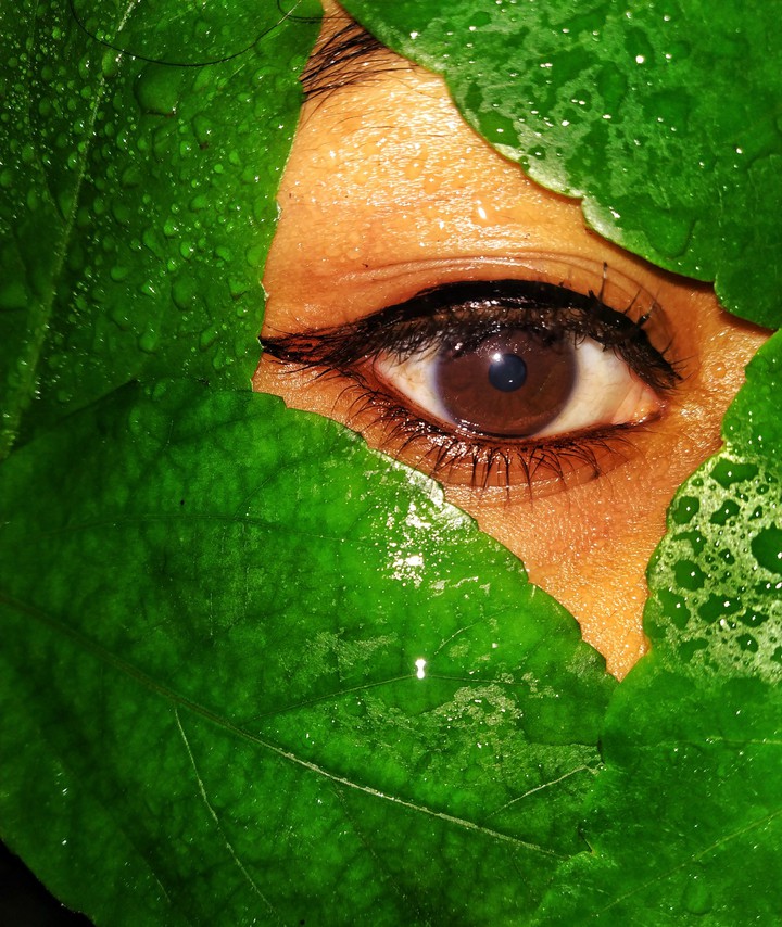 MY EYE. MY CLICK