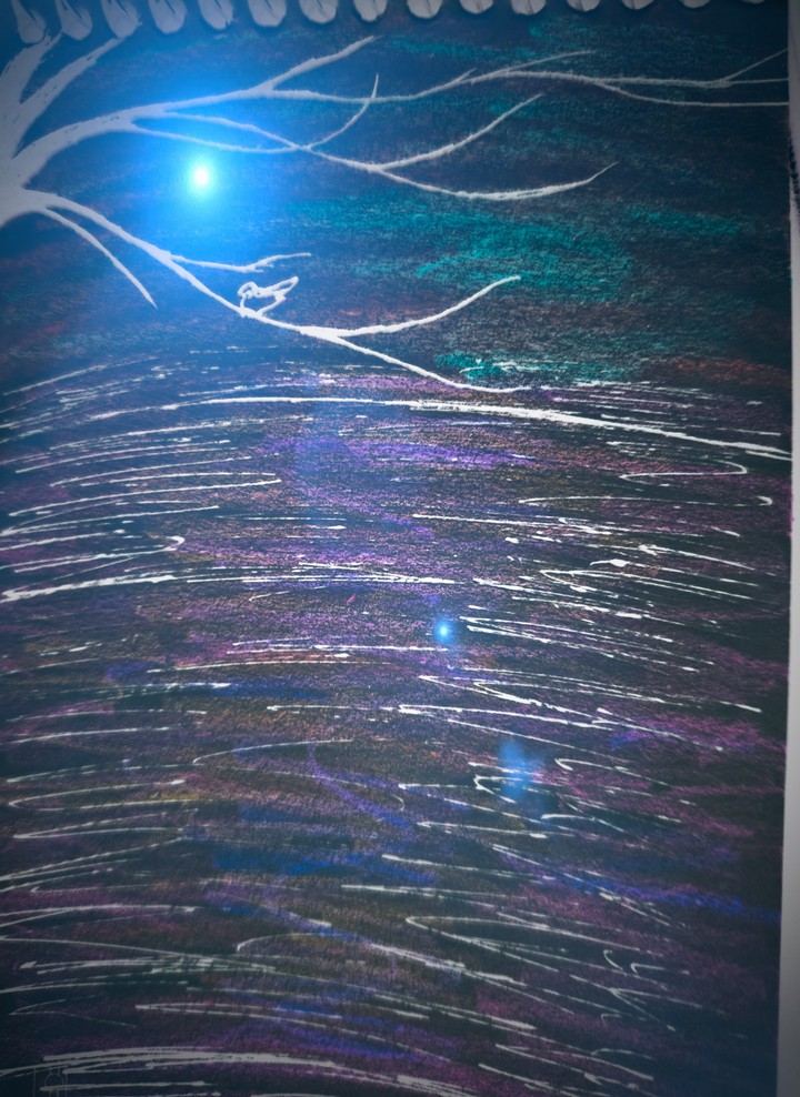 night Sky
