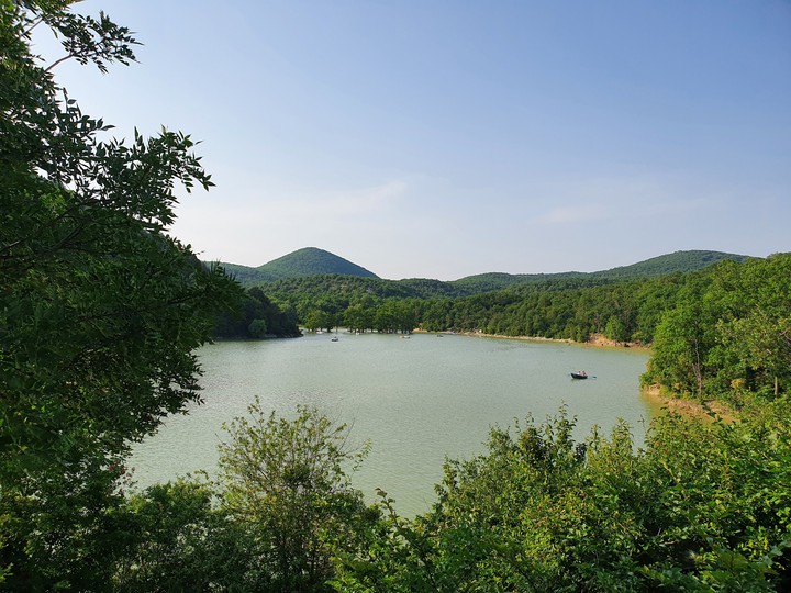 Lake of the cypress