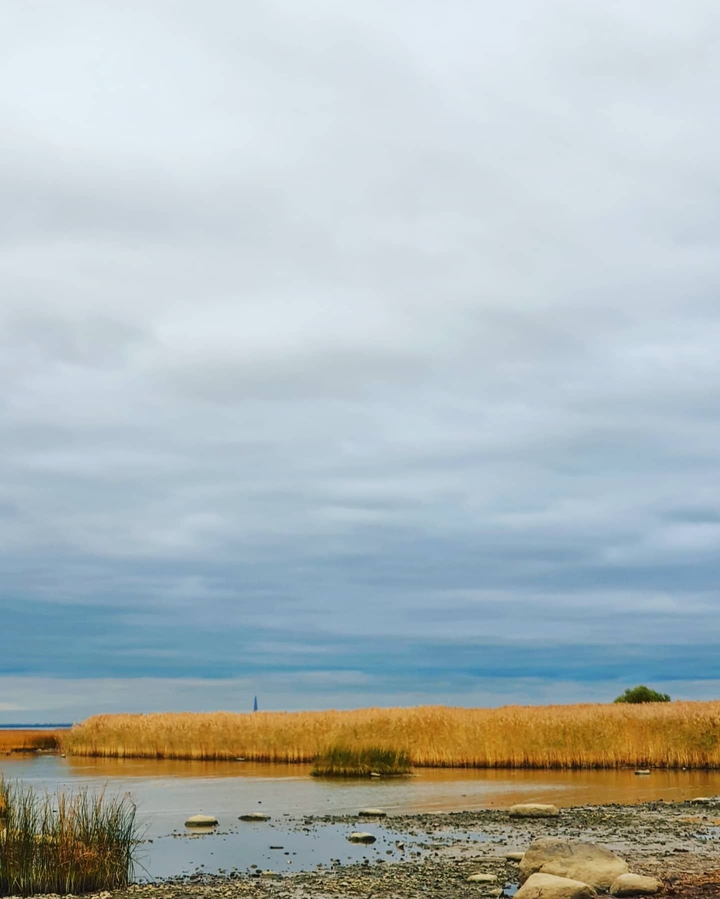 the gulf of finland