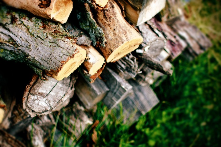 Firewood