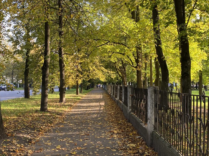 осень в городе