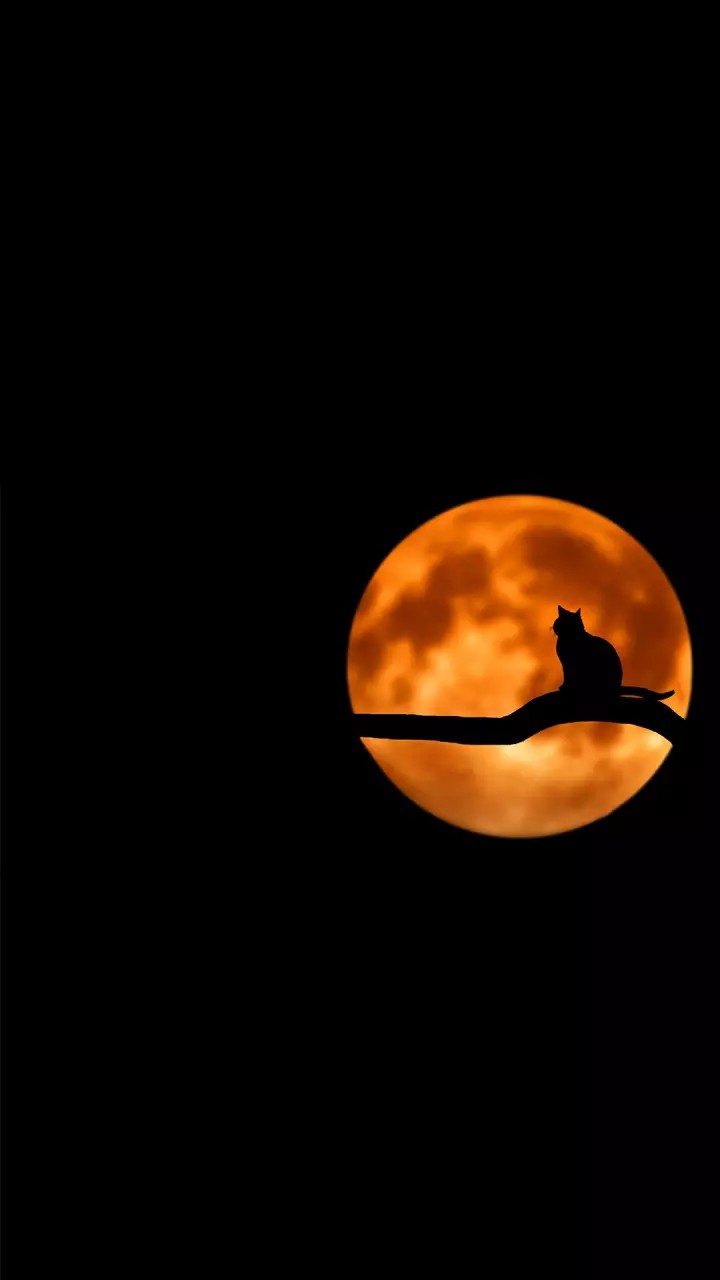 Lune