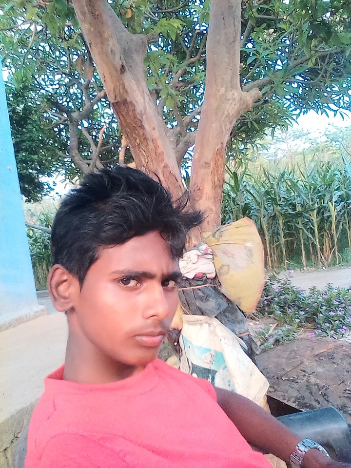 xgg