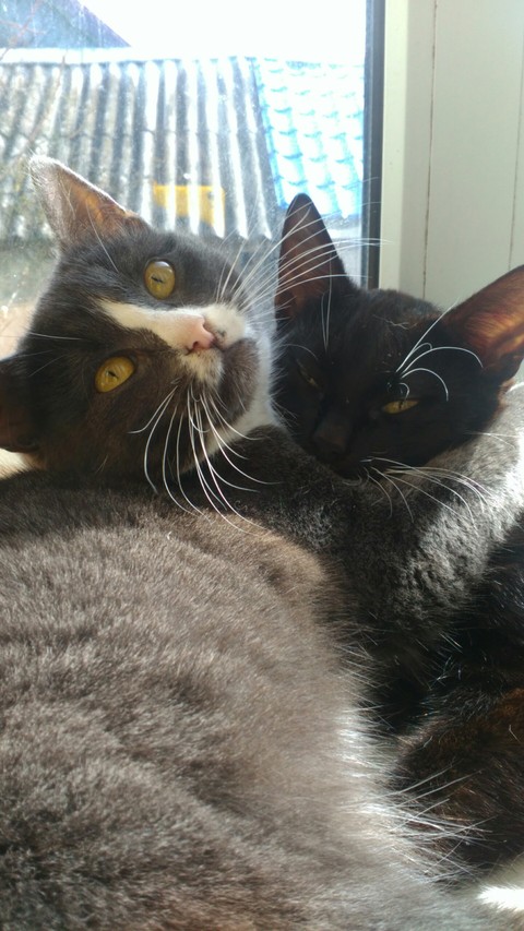 Charlotte and Kier