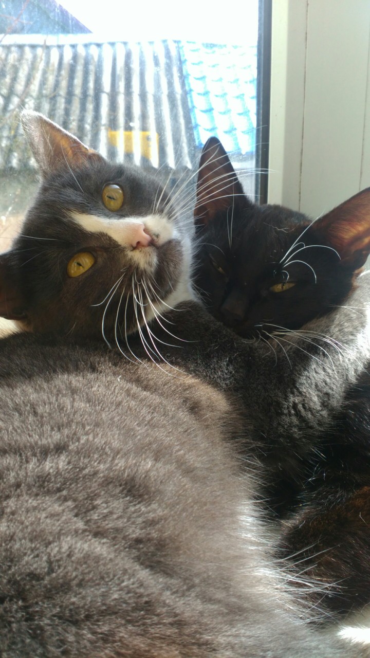 Charlotte and Kier