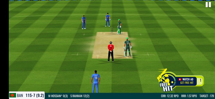 cricket game