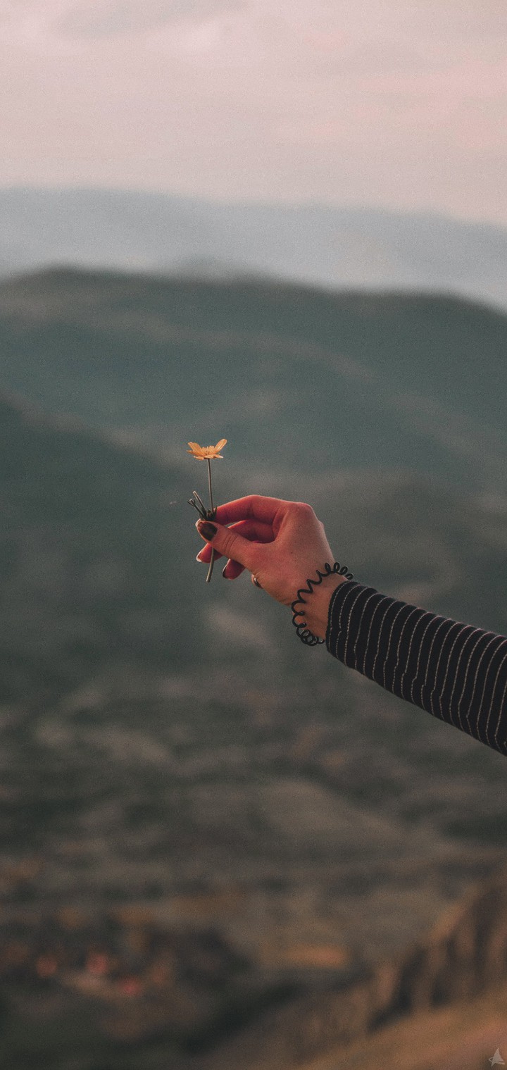 Hand and flower