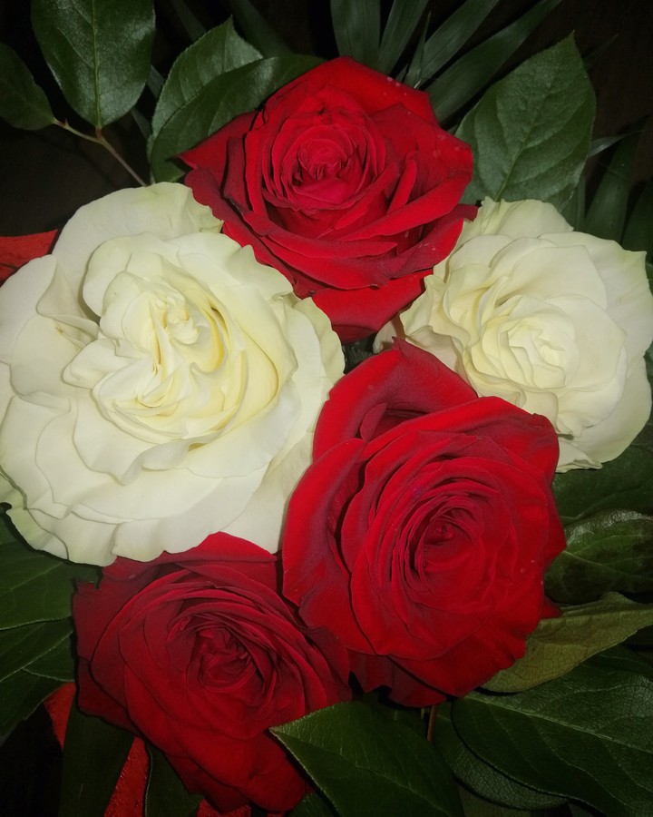 Roses