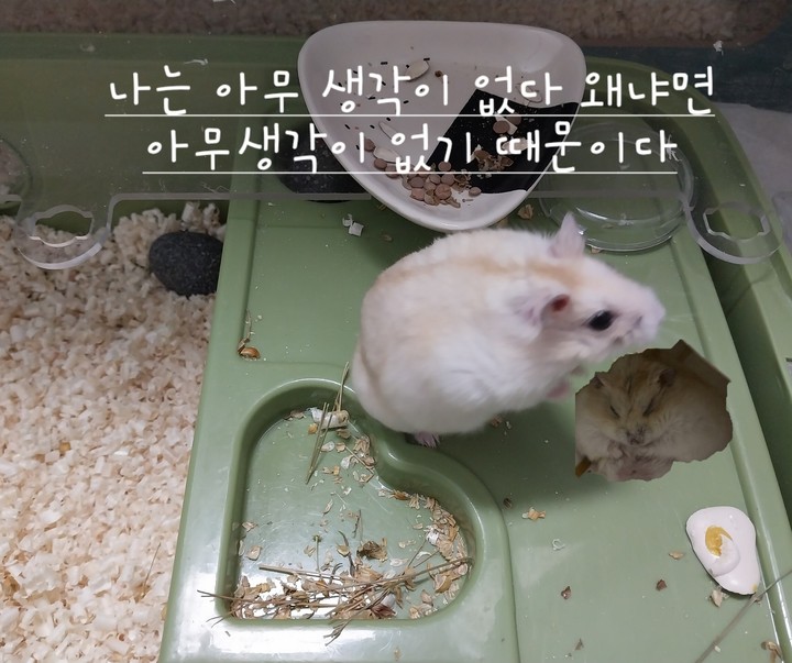 .