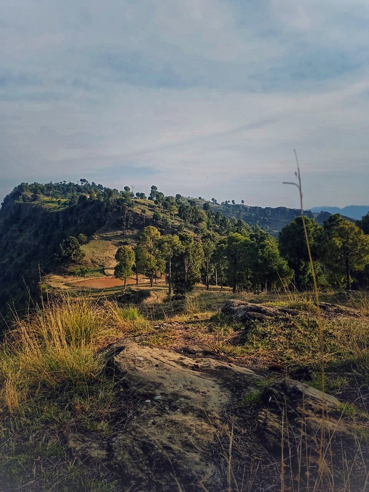 nature landscape