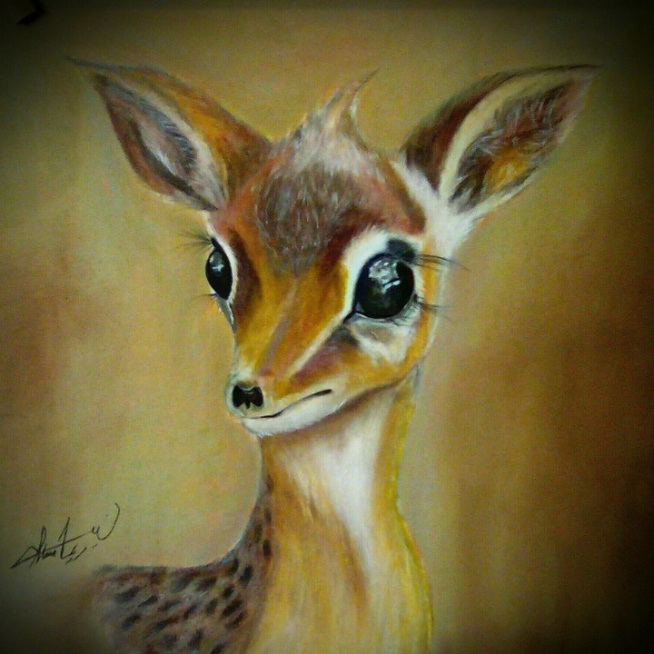 gazelle...my painting ????️♥️♥️♥️♥️