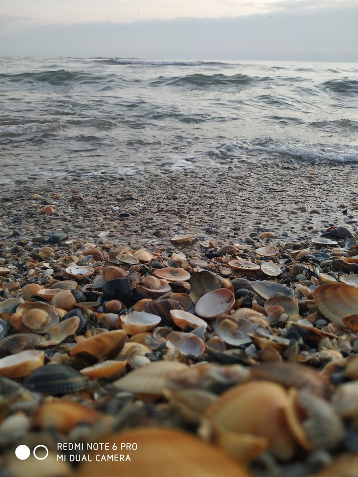 Caspian Sea