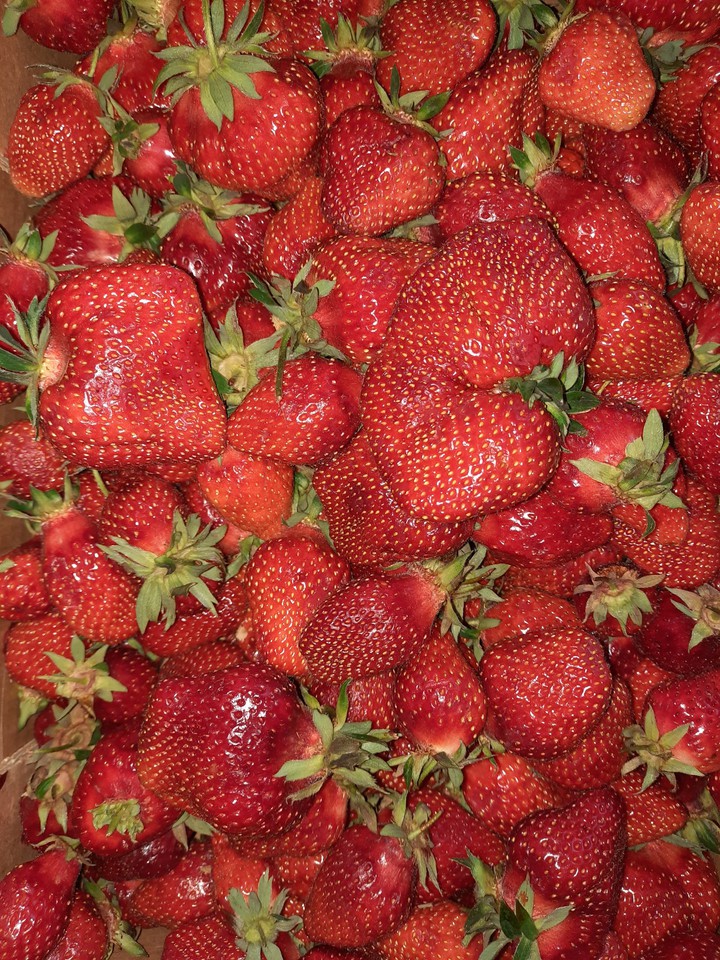 Strawberry