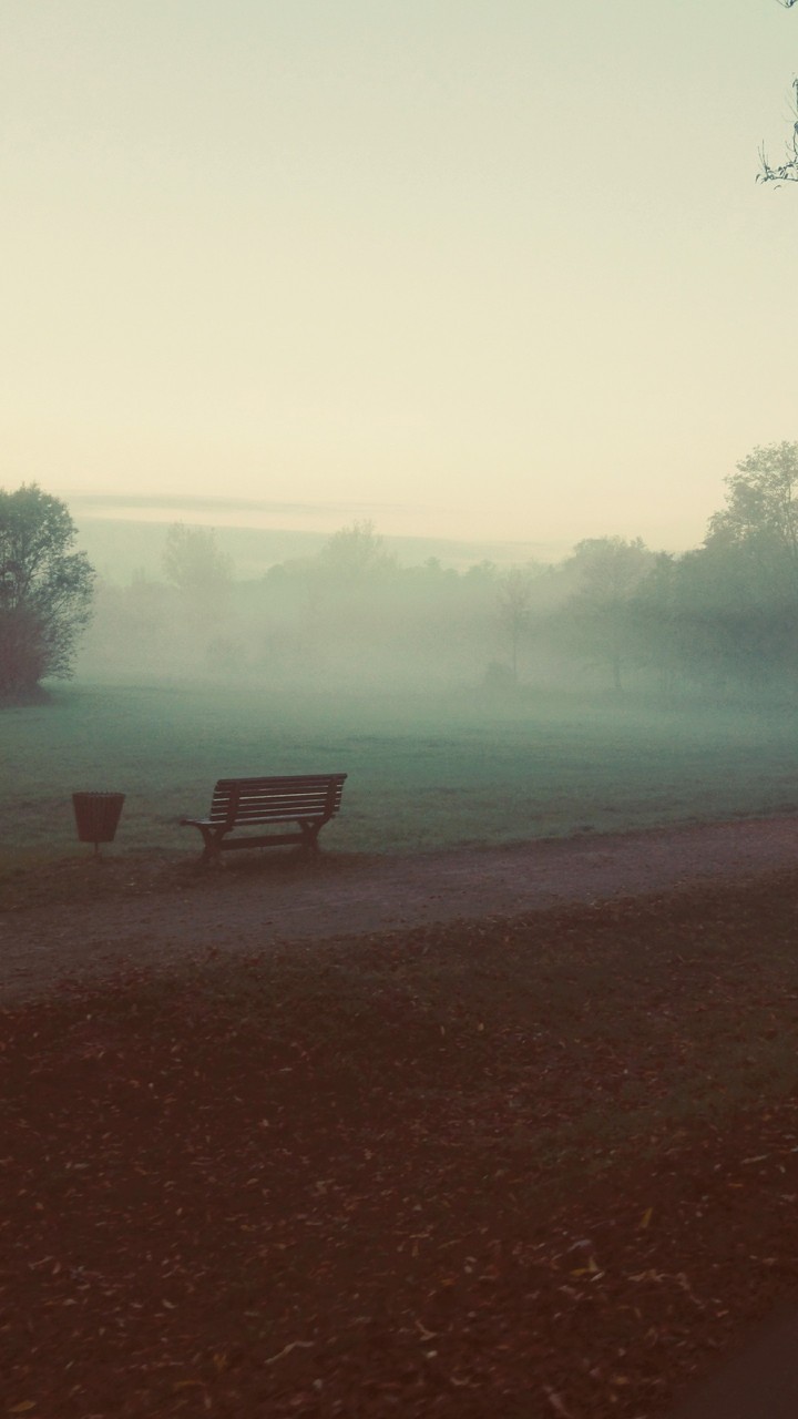 Fogging