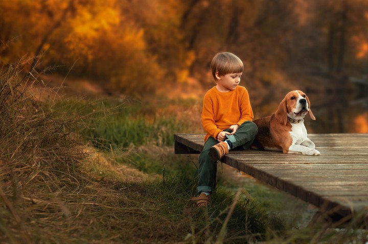 〰️❣️... Child & Dog ...❣️〰️