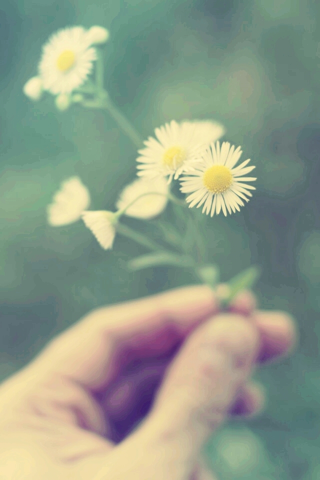 flor