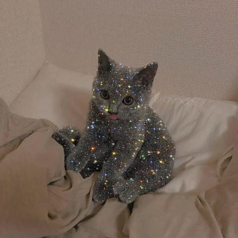 тапети gato, aesthetic