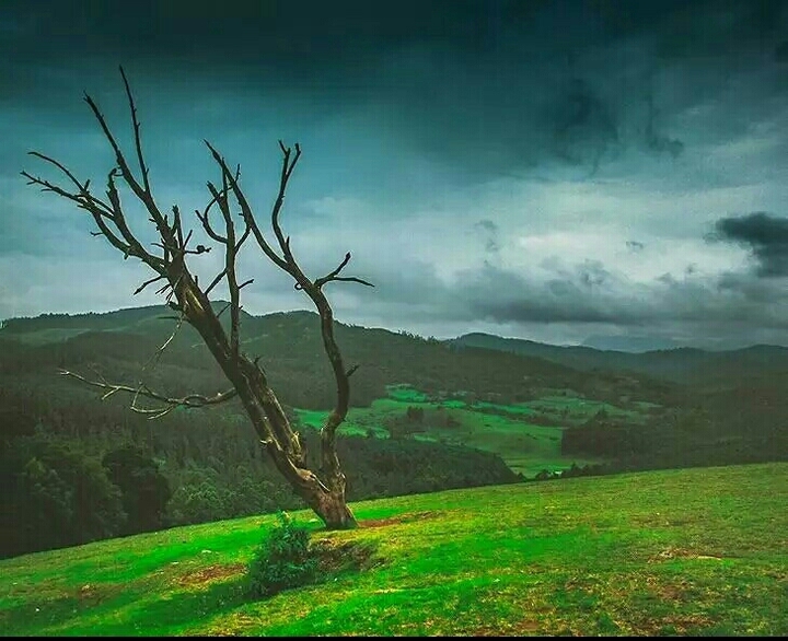 rainy