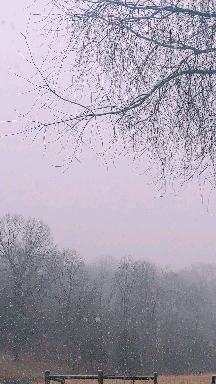 January snow