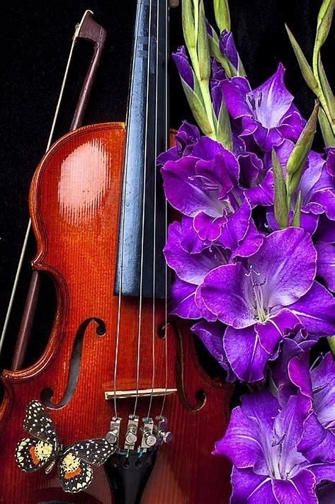 ای عشق همه بهانه از توست