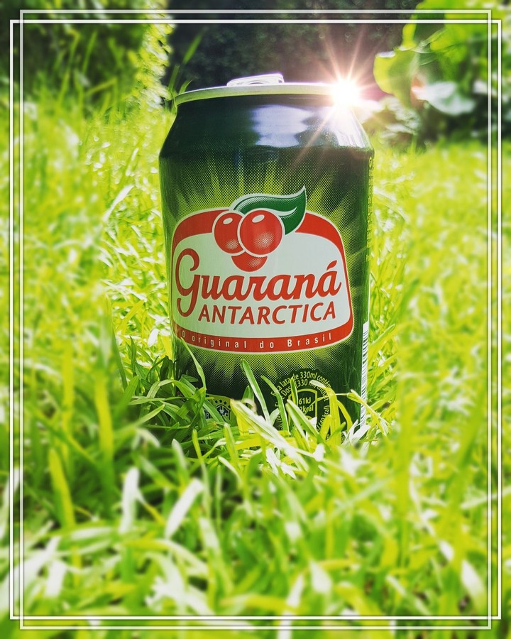 Guarana