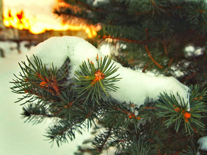 snow