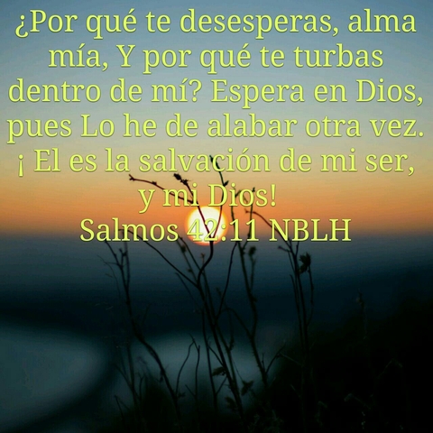 versiculos