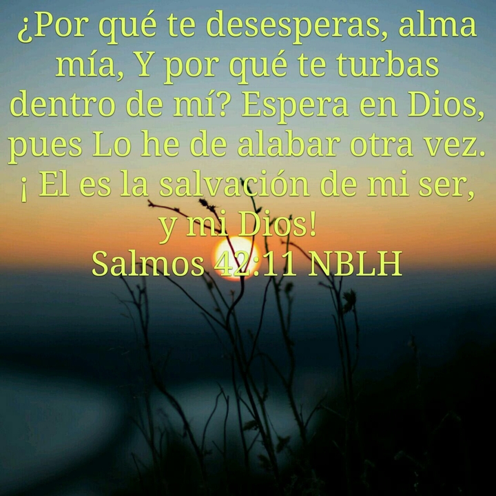 versiculos