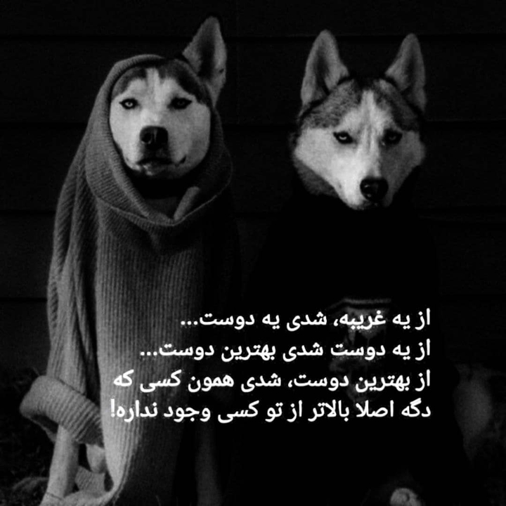 رفاقت..