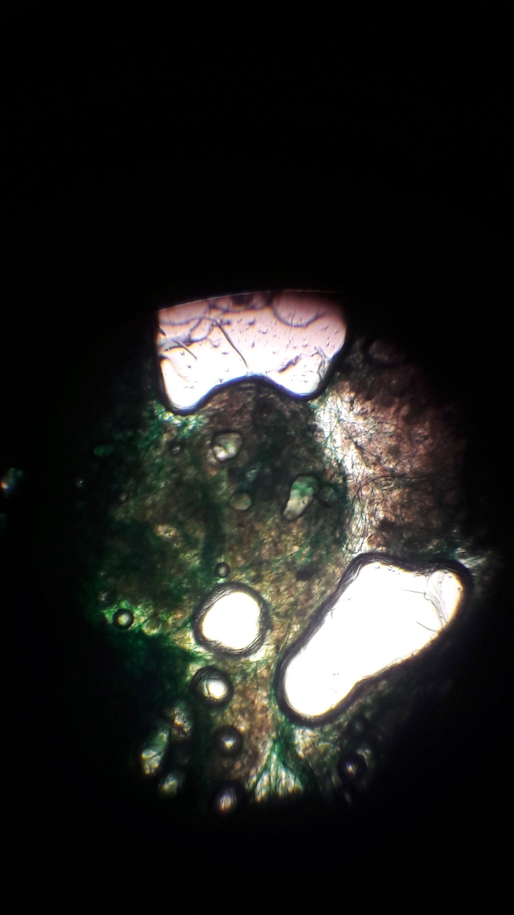 greenish microscope
