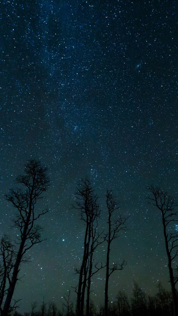 Night Sky