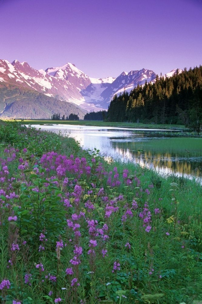 Nature