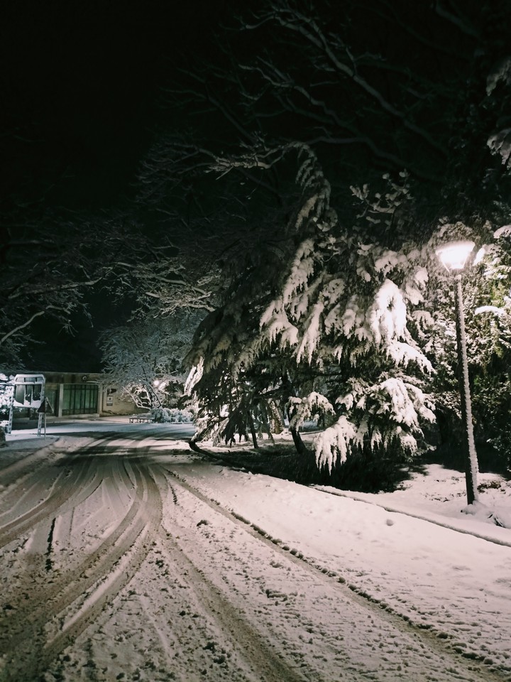 Winter