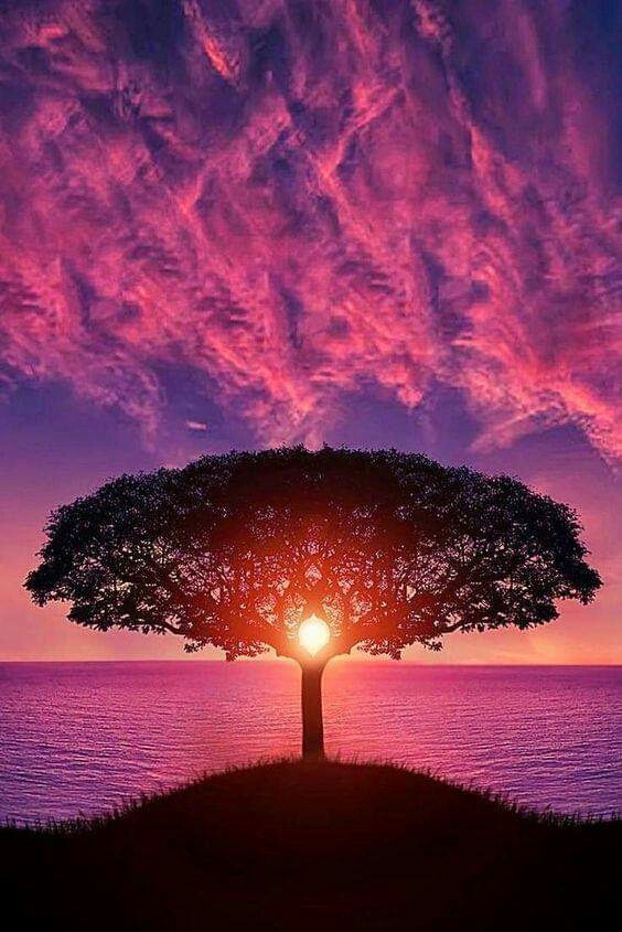 amazing sunrise