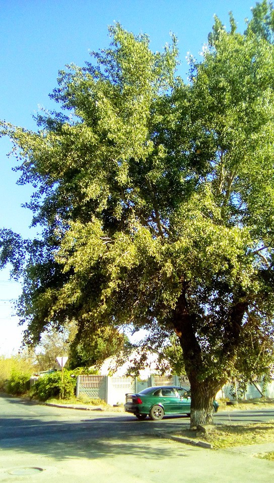 Город в сентябре