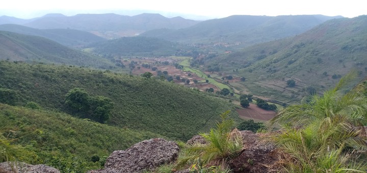 nature