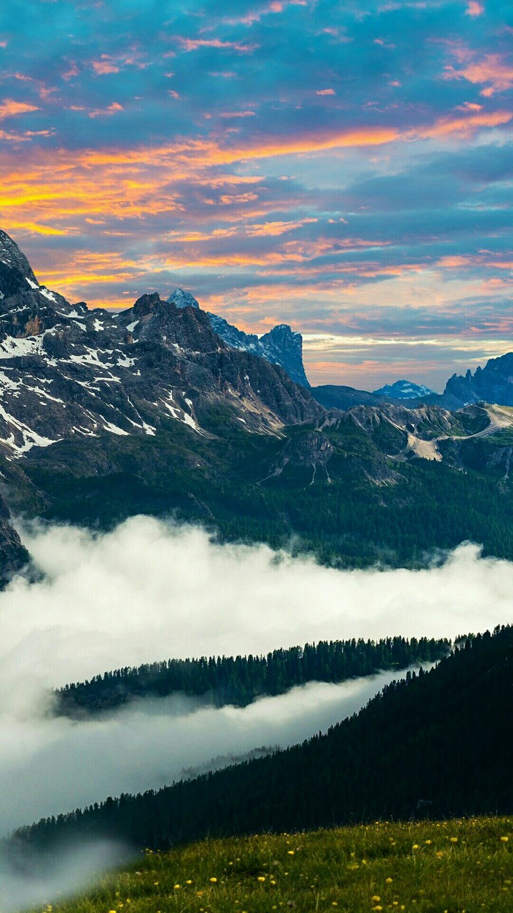 MIST