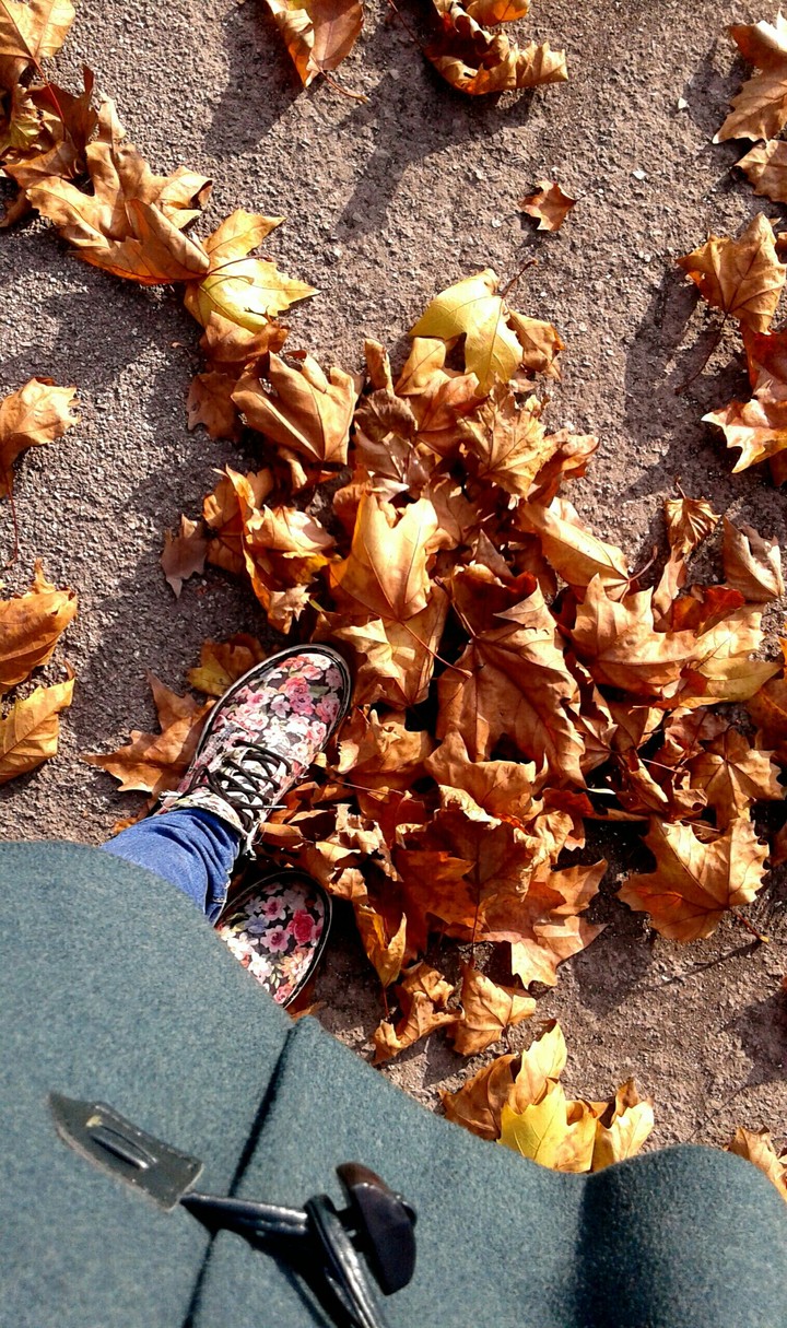 Fall