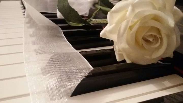 Rose & Piano