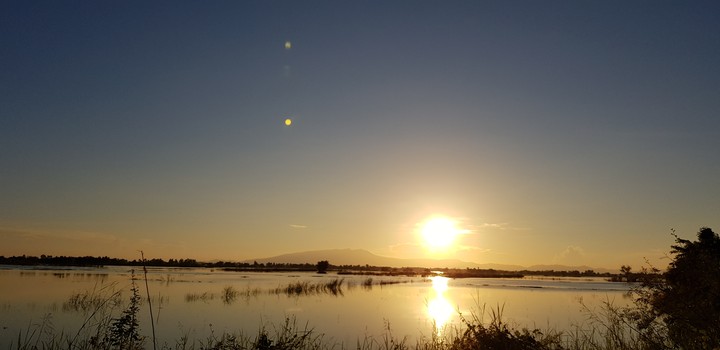 sunset