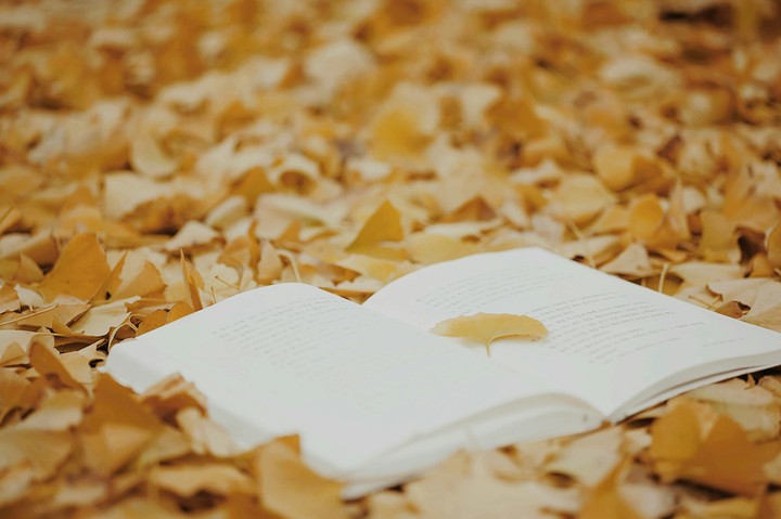 autumn