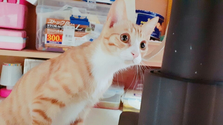 디ㅏ박