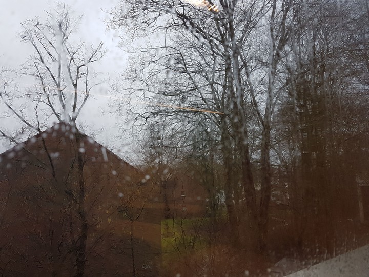 Rain
