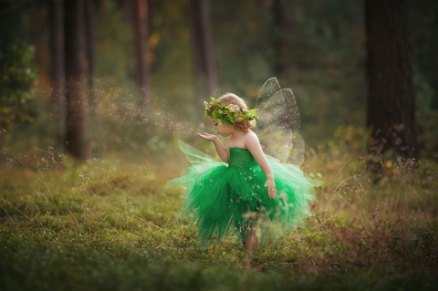 тапети fairy, grass