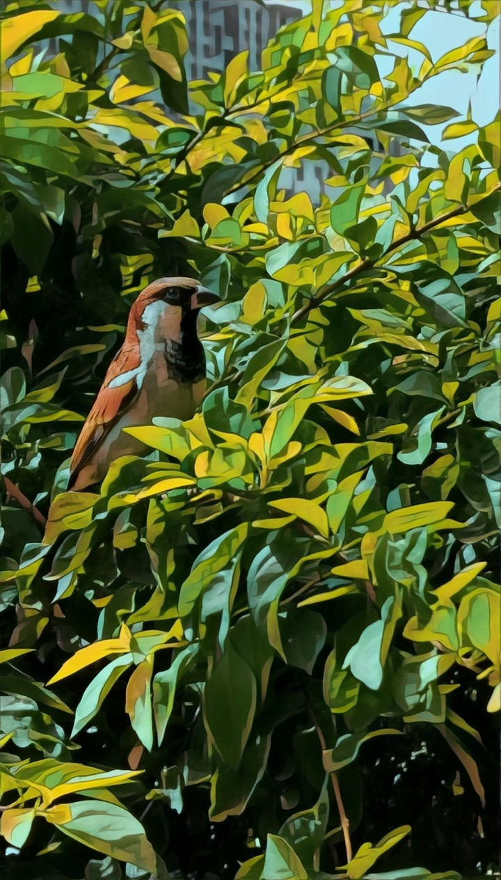 Prisma  Sparrow and Leaves