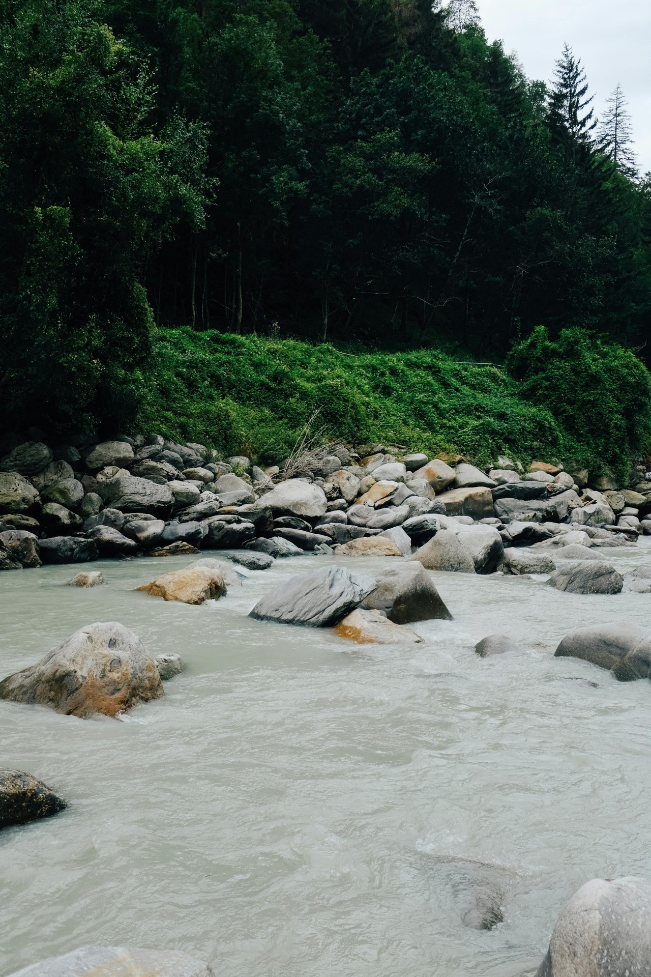 шпалери Wilderness, stream