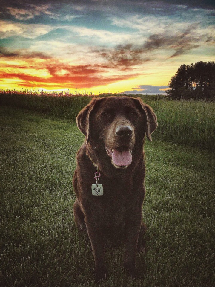 Koco